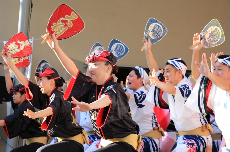 東京高円寺阿波おどり 天翔連(てんしょうれん)による「阿波踊り」